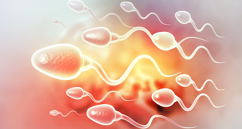 Male Fertility and IVF: Why Every Sperm Counts