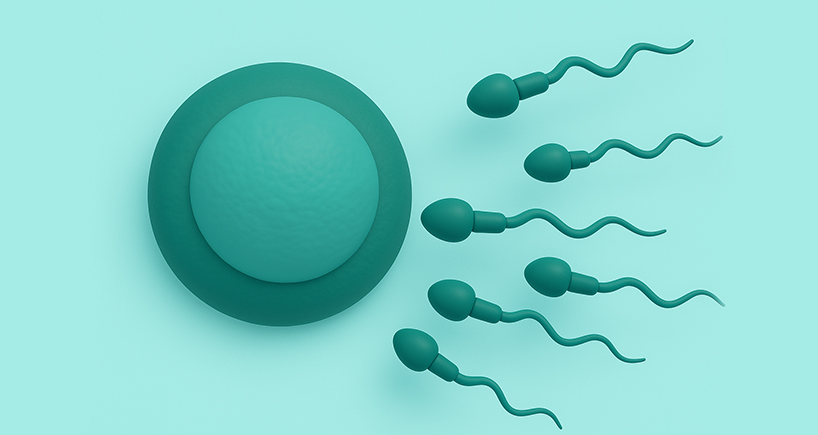 Egg Quality & IVF: Why It’s the Key to Success